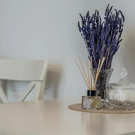 By Meta Apartment *