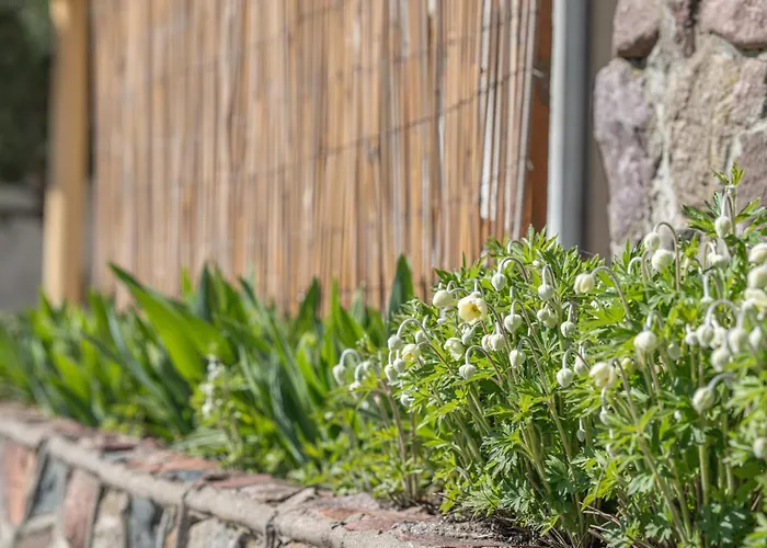 By Meta * Παλάγκα